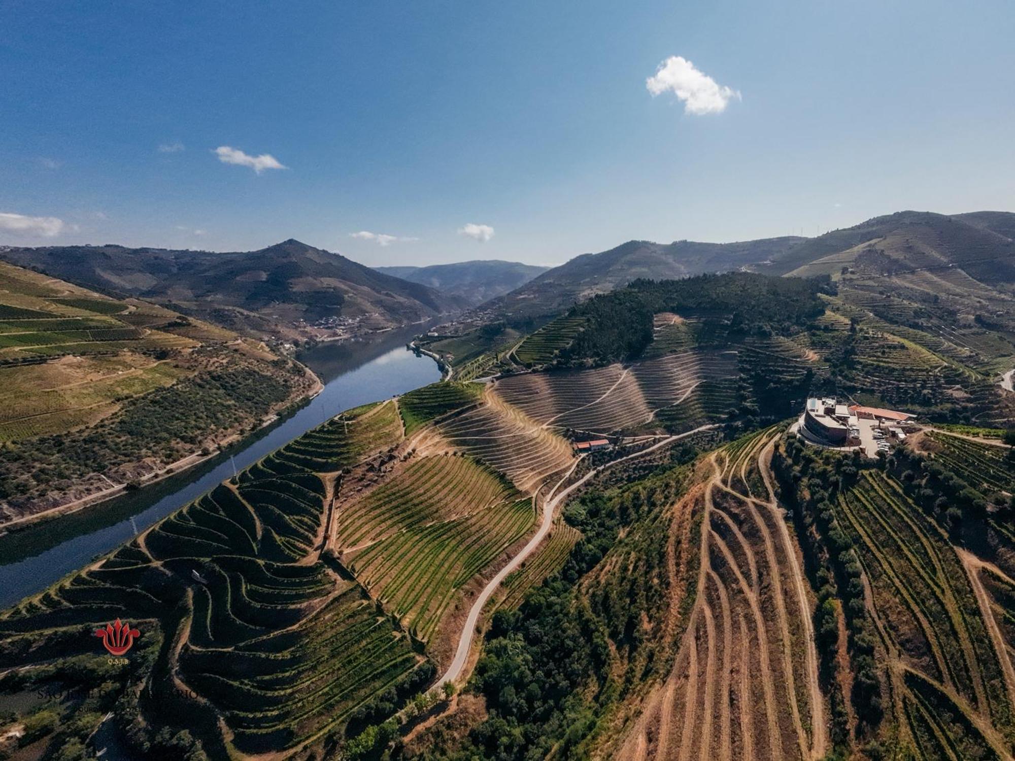 Barrilario Douro Wine Hotel E Spa - Quinta Sao Jose Do Barrilario Armamar Zewnętrze zdjęcie