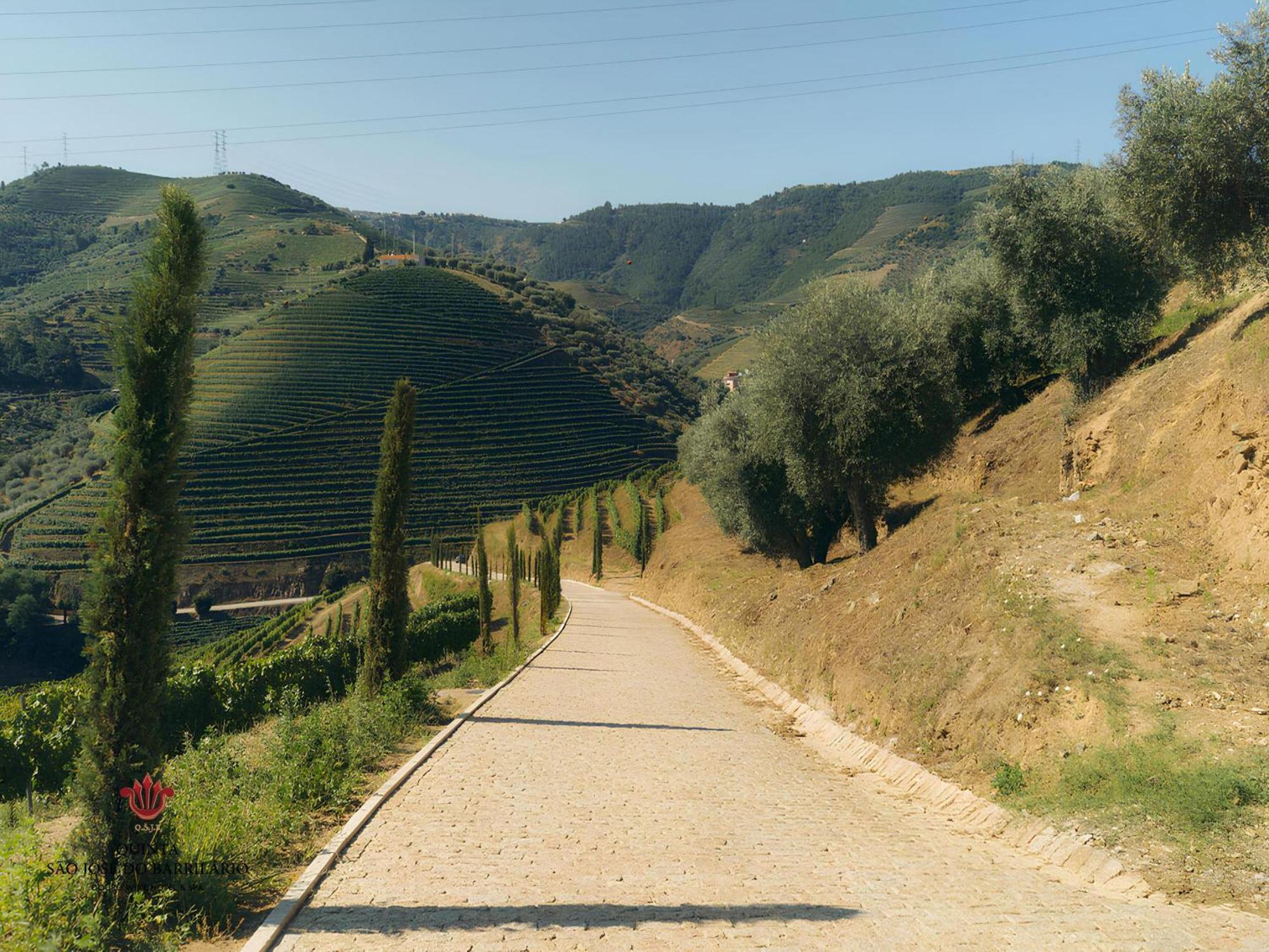 Barrilario Douro Wine Hotel E Spa - Quinta Sao Jose Do Barrilario Armamar Zewnętrze zdjęcie