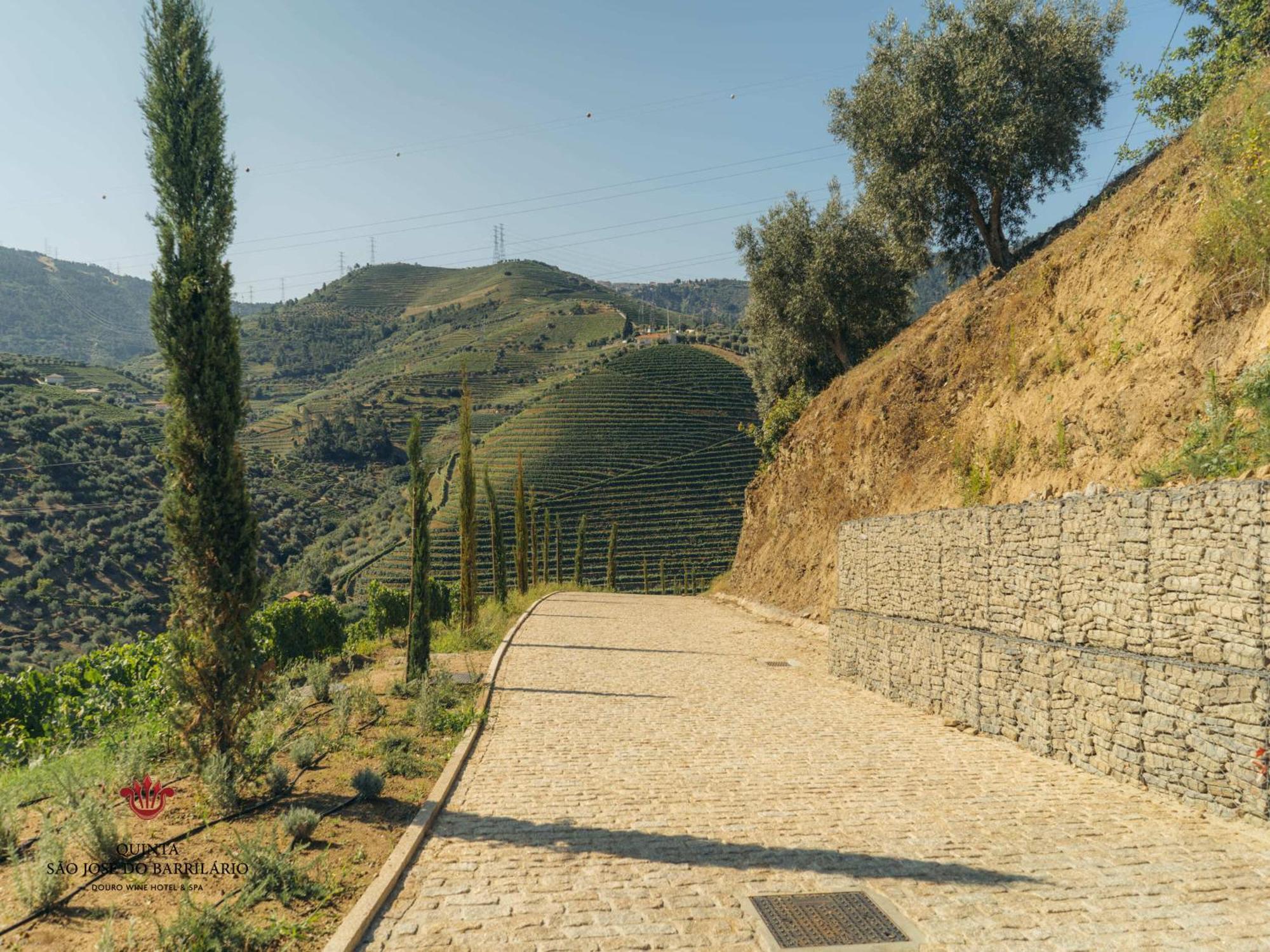 Barrilario Douro Wine Hotel E Spa - Quinta Sao Jose Do Barrilario Armamar Zewnętrze zdjęcie